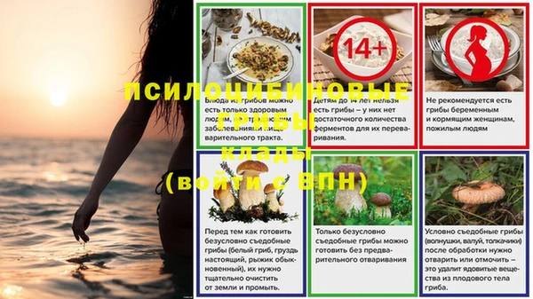 ALPHA-PVP Киреевск