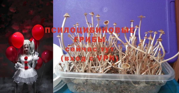 MDMA Кинешма