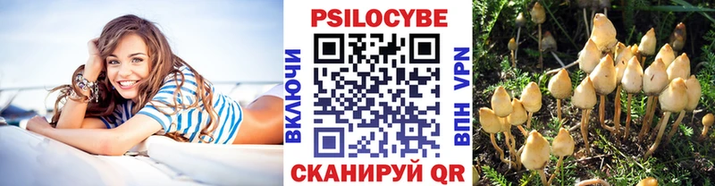 Купить  Межгорье  Псилоцибиновые грибы мицелий 
