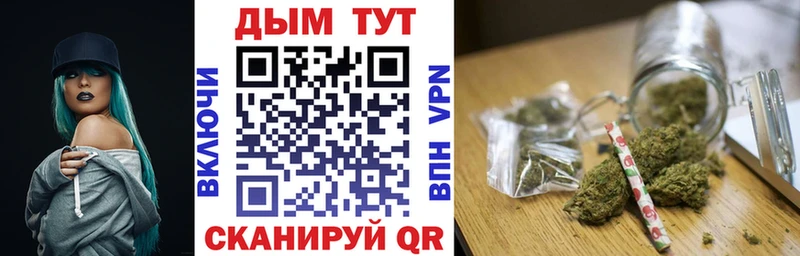 Купить где  Межгорье  Канабис конопля 